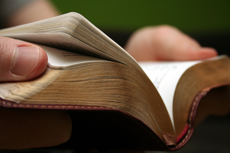 Young man reading small Bible